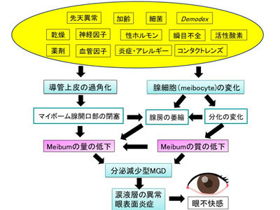 分泌減少型MGD